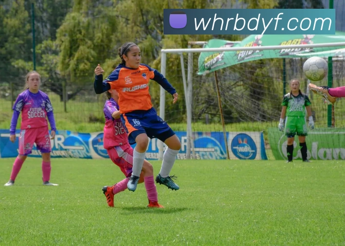 华体会发展历程