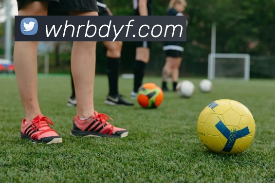 追梦之路：我发誓不是故意伤害亚当斯的决心与坚持