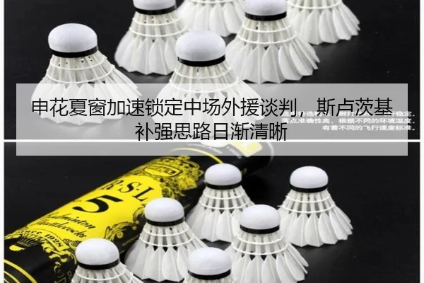 申花夏窗加速锁定中场外援谈判，斯卢茨基补强思路日渐清晰