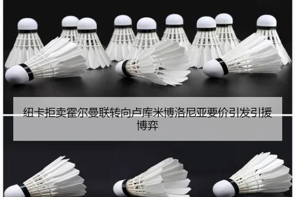 纽卡拒卖霍尔曼联转向卢库米博洛尼亚要价引发引援博弈